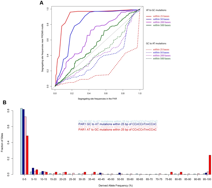 Allele frequencies near the PRDM9 binding motif show the strong influence of recombination.