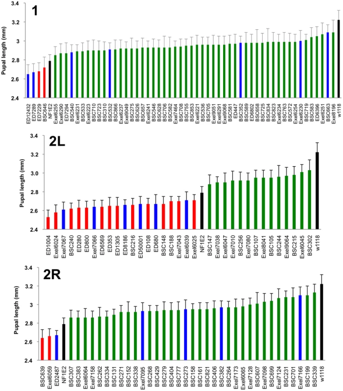 Identified deficiencies increase or decrease pupal size to different extents.