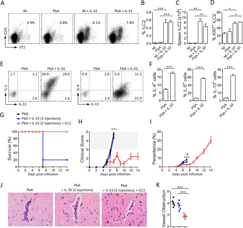 IL-33 expands ILC2 which adoptively protect mice against ECM.