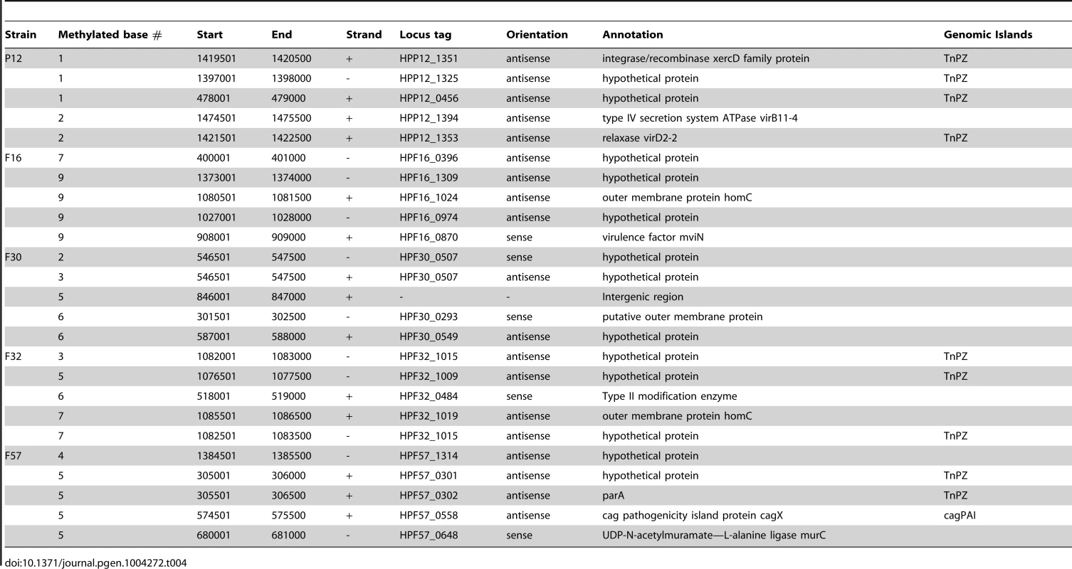 Top 5 hypomethylated regions in each strain.