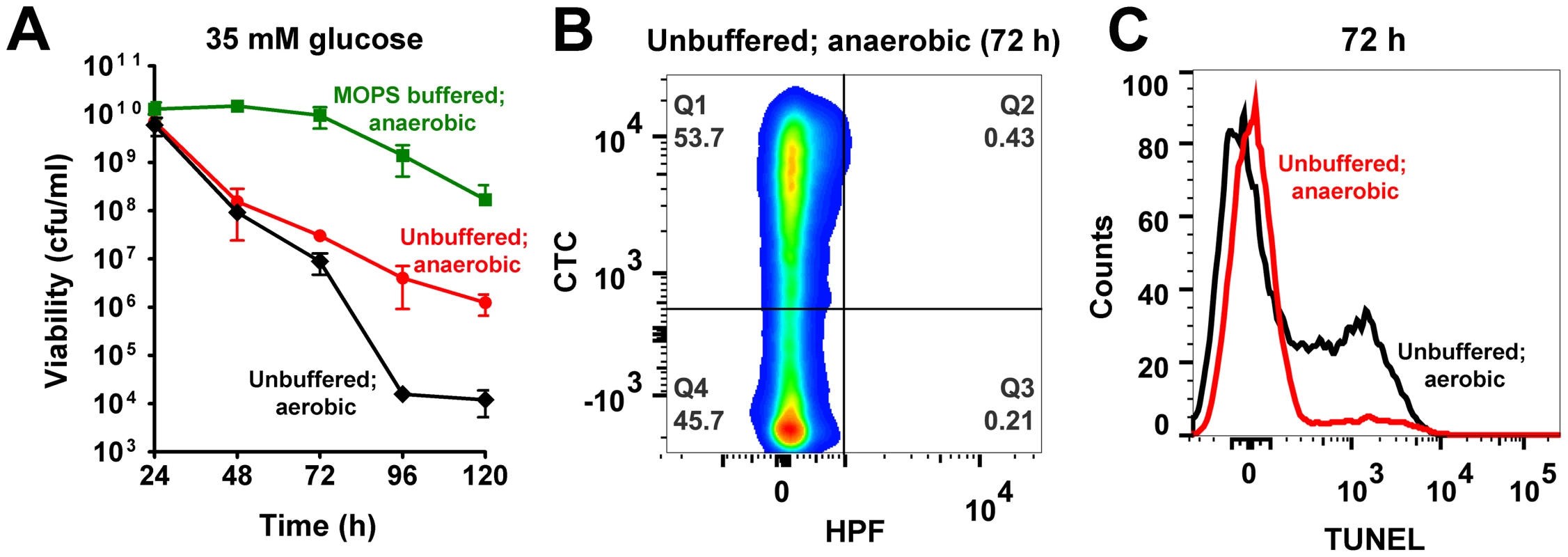 Acetate and ROS contribute towards cell death.