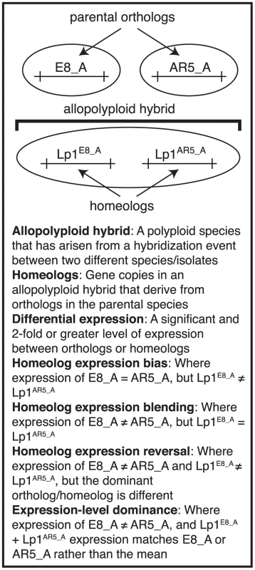 Glossary of terms.