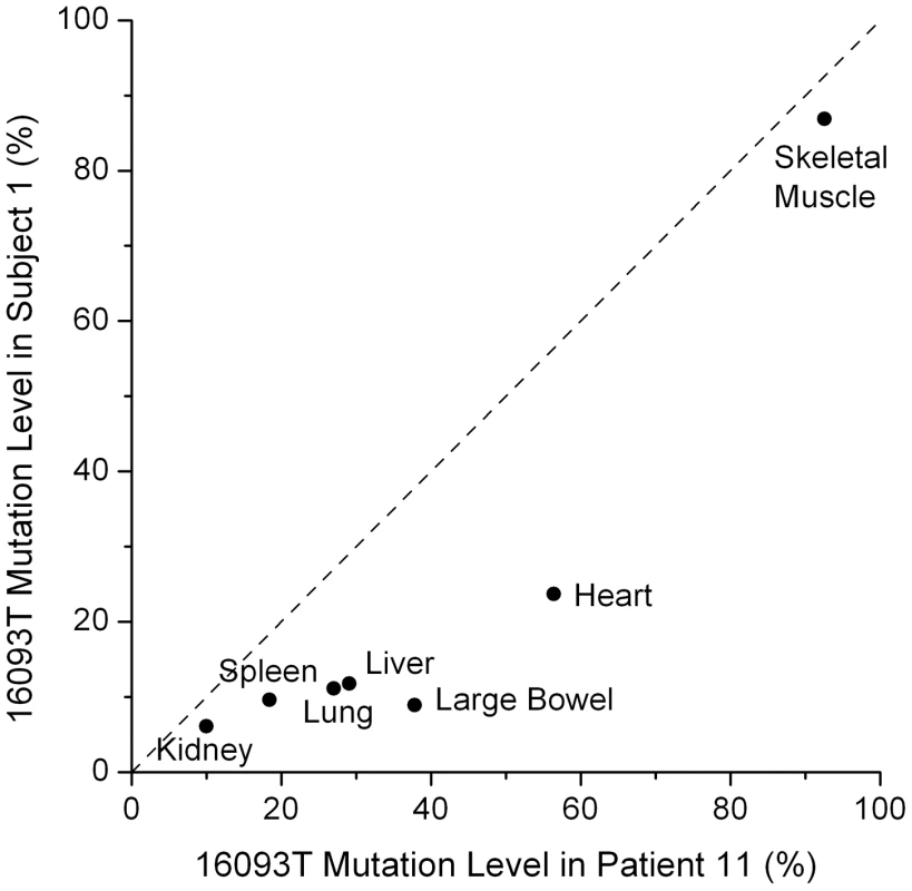 Tissue dependent heteroplasmy levels of the 16093 T/C variant across two subjects.