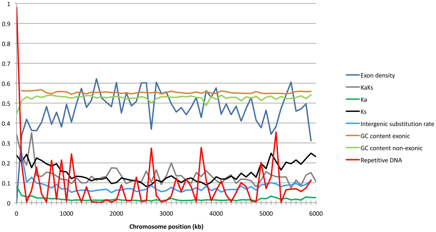Sliding window of chromosome 1 showing exon density, Ka/Ks ratios, Ka, Ks, intergenic substitution rate, exonic and non-exonic GC-content, and frequencies of repetitive DNA as calculated in 100 K window sizes.
