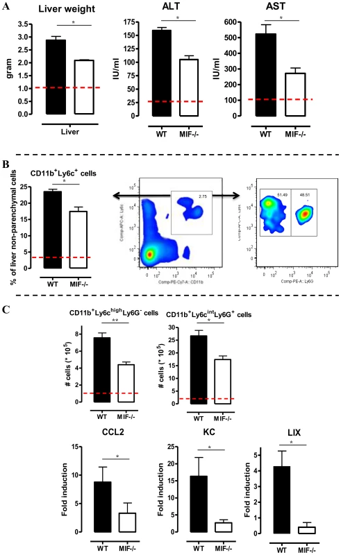MIF deficiency reduces liver damage and alters liver cell composition during <i>T. brucei</i> infection.