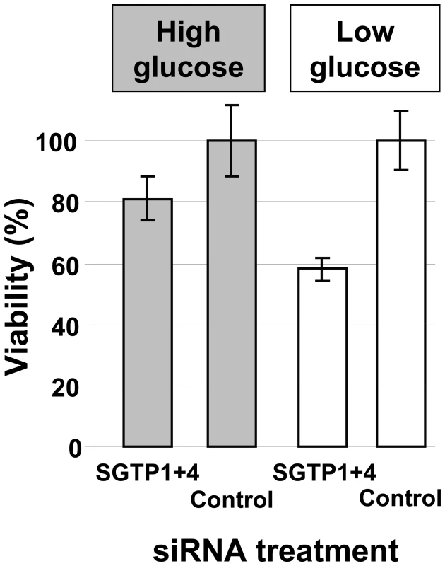 Relative viability of schistosomes treated with SGTP siRNA.