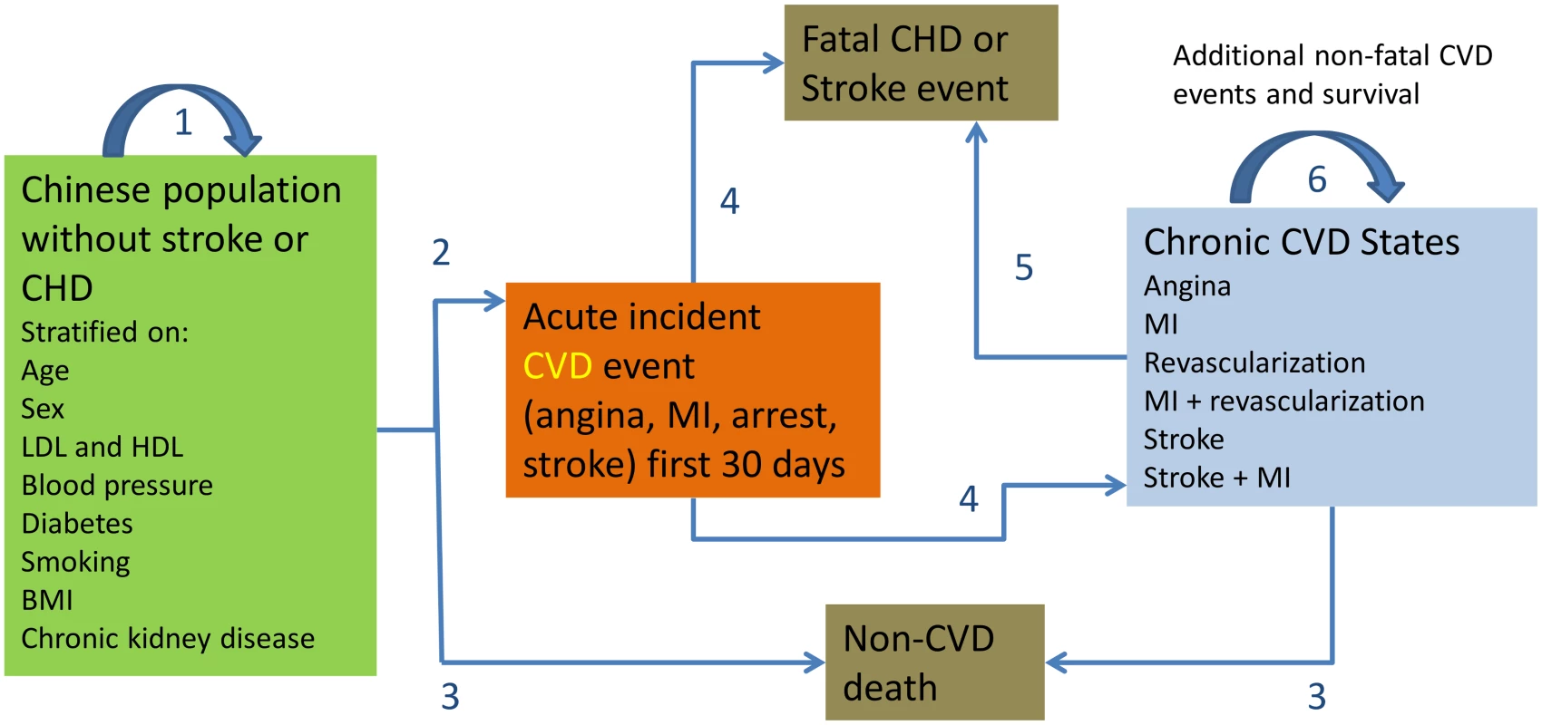 CVD Policy Model-China structure.
