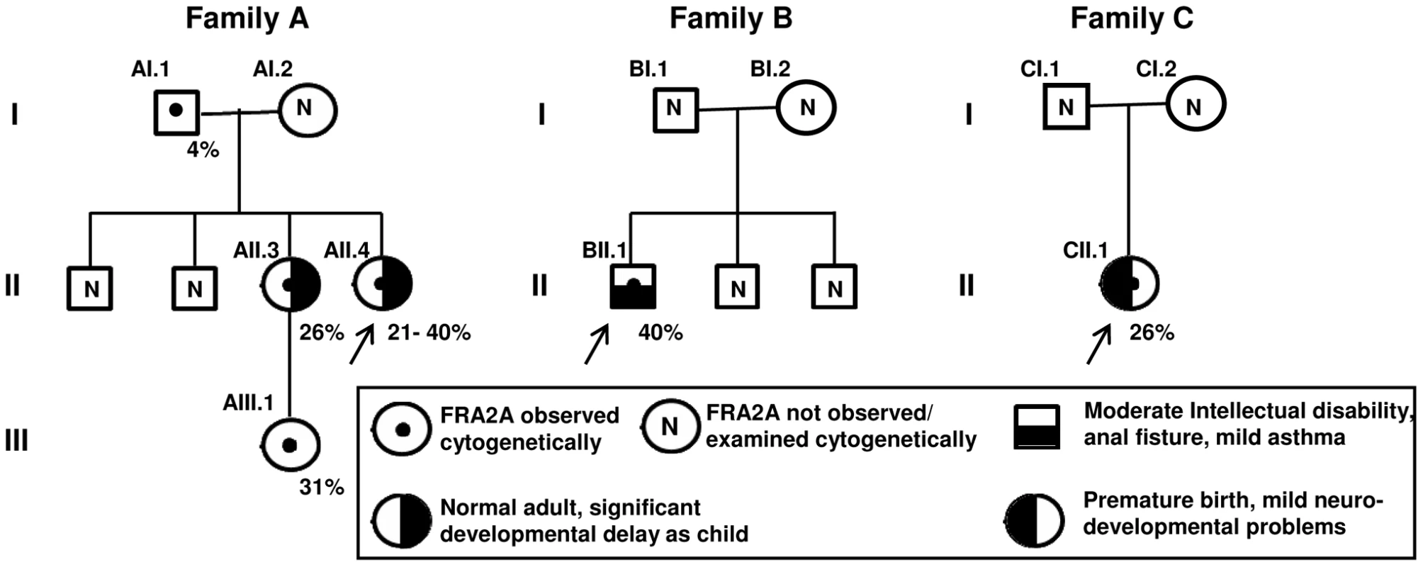 Description of FRA2A Families A–C.