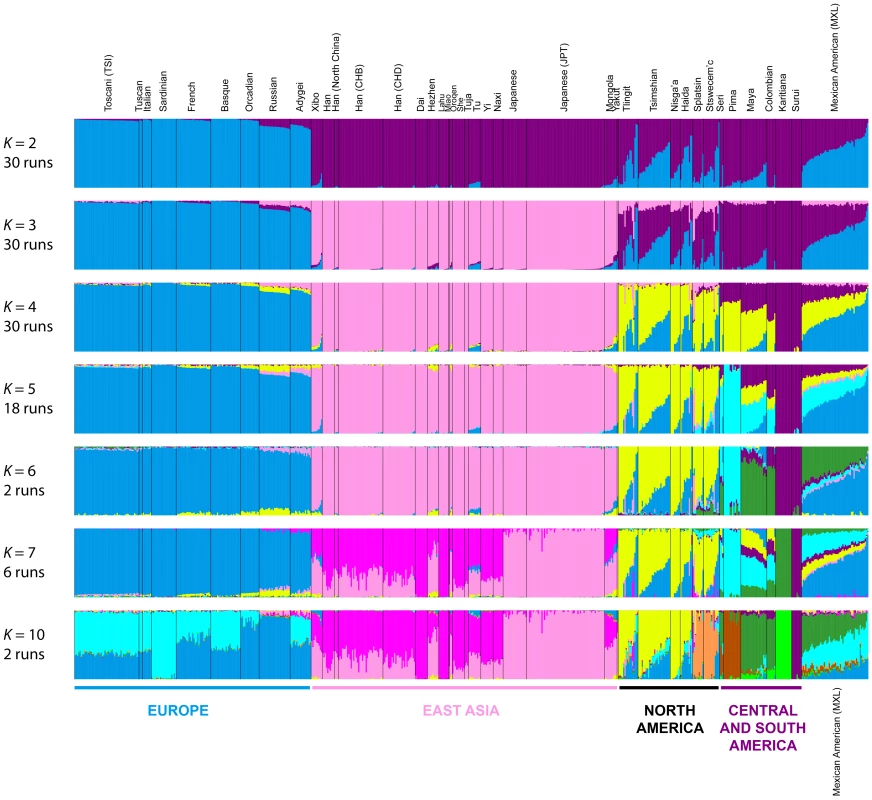 Admixture structure in the Americas.