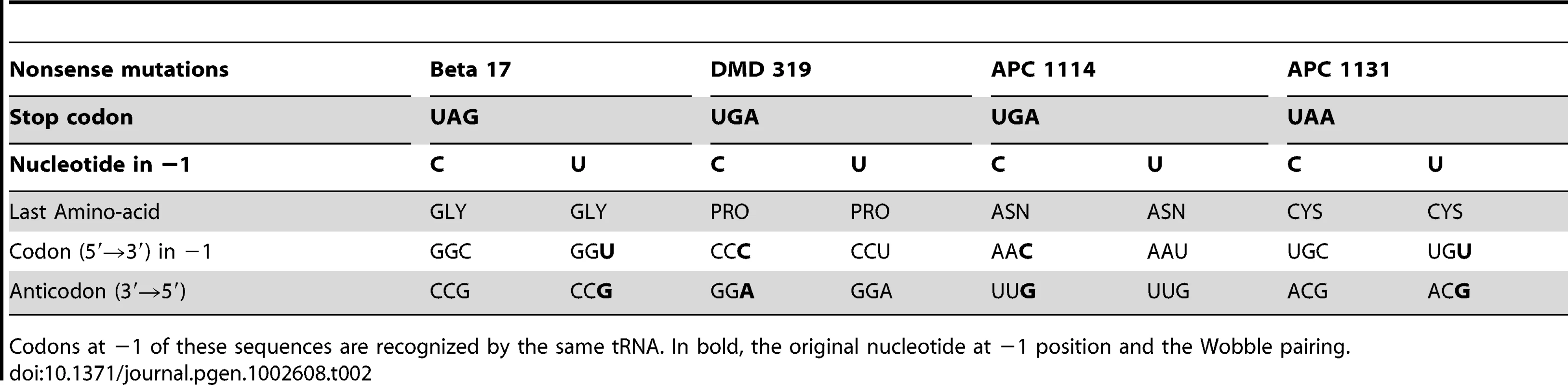 Codon and anticodon immediately upstream of the stop codon (−1 position).