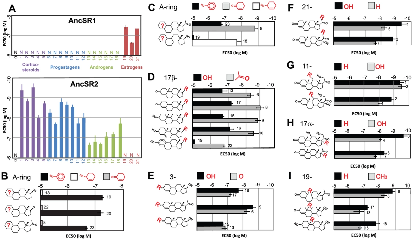 Ligand-recognition rules of AncSR1 and AncSR2.