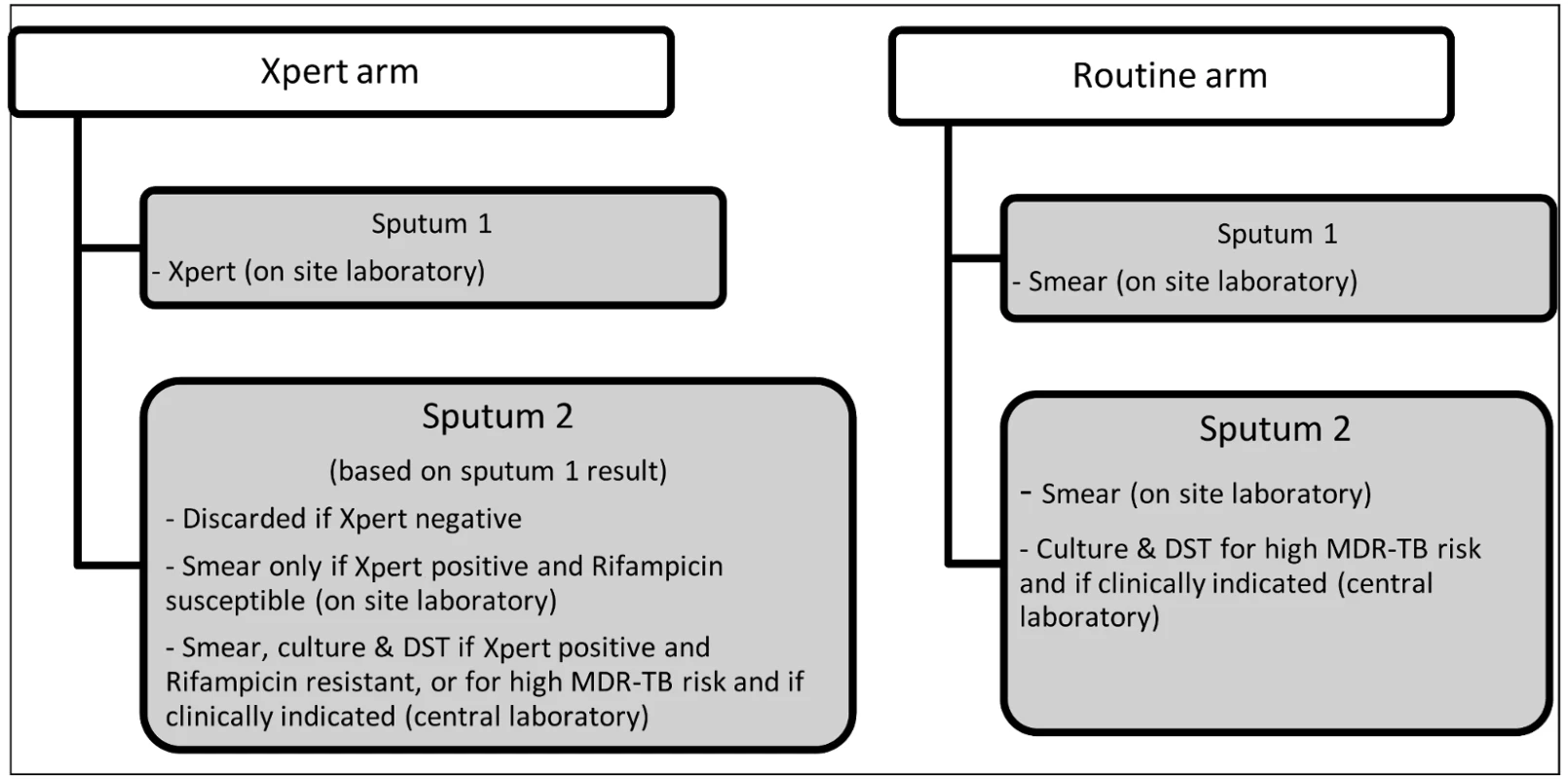 Diagnostic testing algorithm for each study arm.