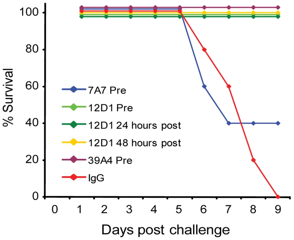 Anti-H3 mAbs protect against H3 virus in vivo.