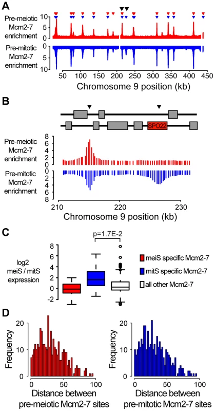 Transcription influences origin selection.