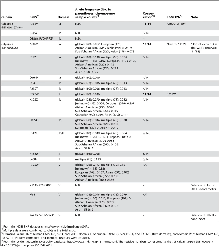 Missense SNPs in human <i>CAPN8</i> and <i>CAPN9</i> and related LGMD2A pathogenic mutations in <i>CAPN3</i>.