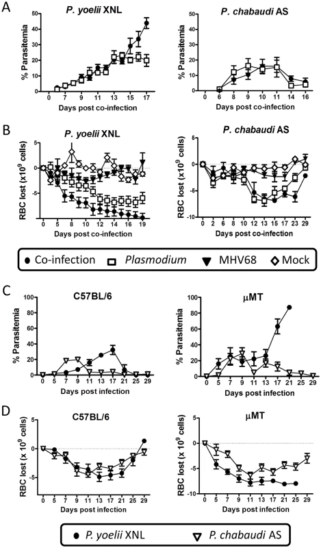 <i>P</i>. <i>yoelii</i> XNL requires <i>Plasmodium</i> specific IgG response to clear primary peak of parasitemia.