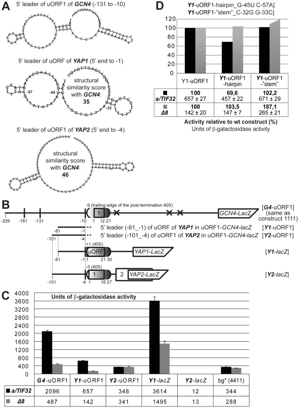 The 5′ sequences of the REI-permissive uORF of <i>YAP1</i> contain structurally similar features to the RPEs of <i>GCN4</i>'s uORF1 and promote REI in co-operation with the a/TIF32-NTD.