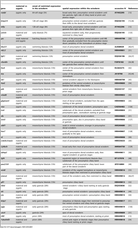 Genes examined in this study.