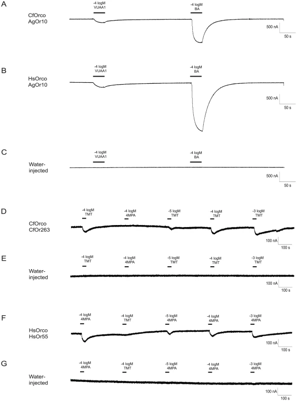 Identification of ligands for <i>C. floridanus</i> and <i>H. saltator</i> Ors.