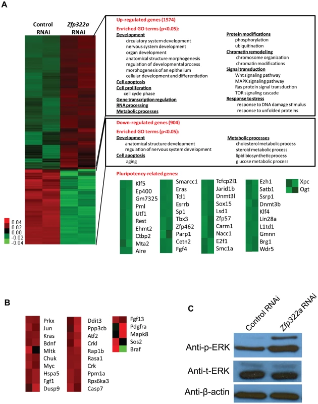 Changes of global gene expression upon <i>Zfp322a</i> knock-down in ES cells.