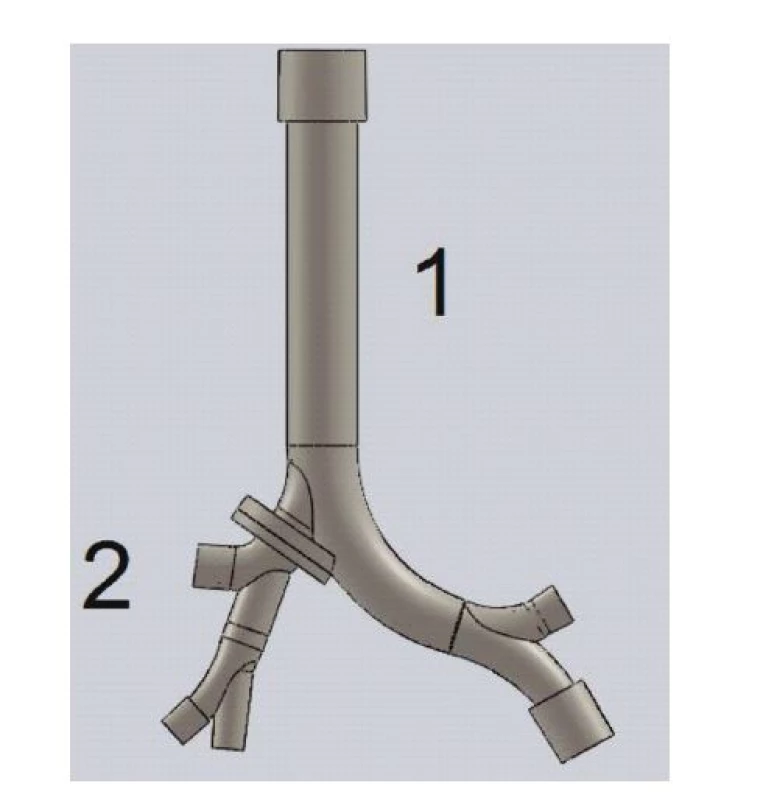 Model centrálních dýchacích cest navržený podle Horsfieldovy morfologie v programu Solidworks.