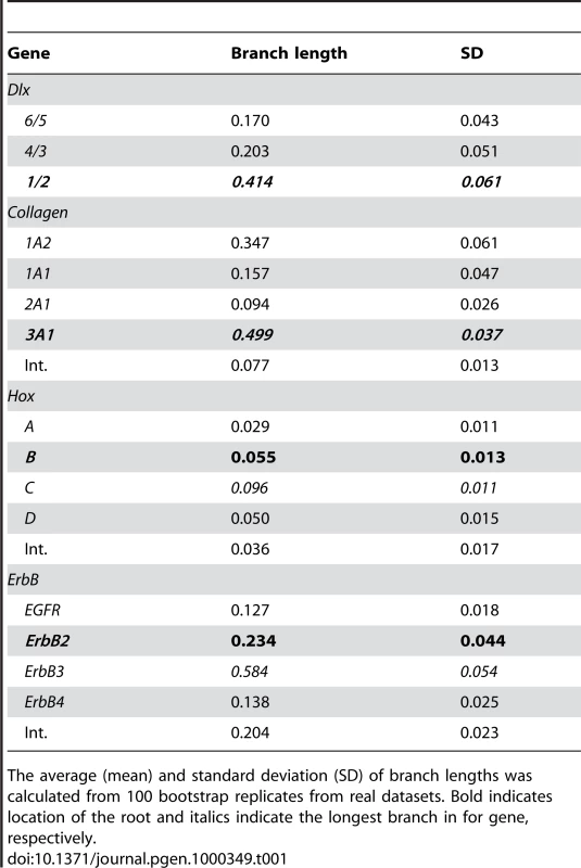 Branch length data for the stem of <i>Dlx</i>, <i>Col</i>, <i>Hox</i> and <i>ErbB</i> clusters.