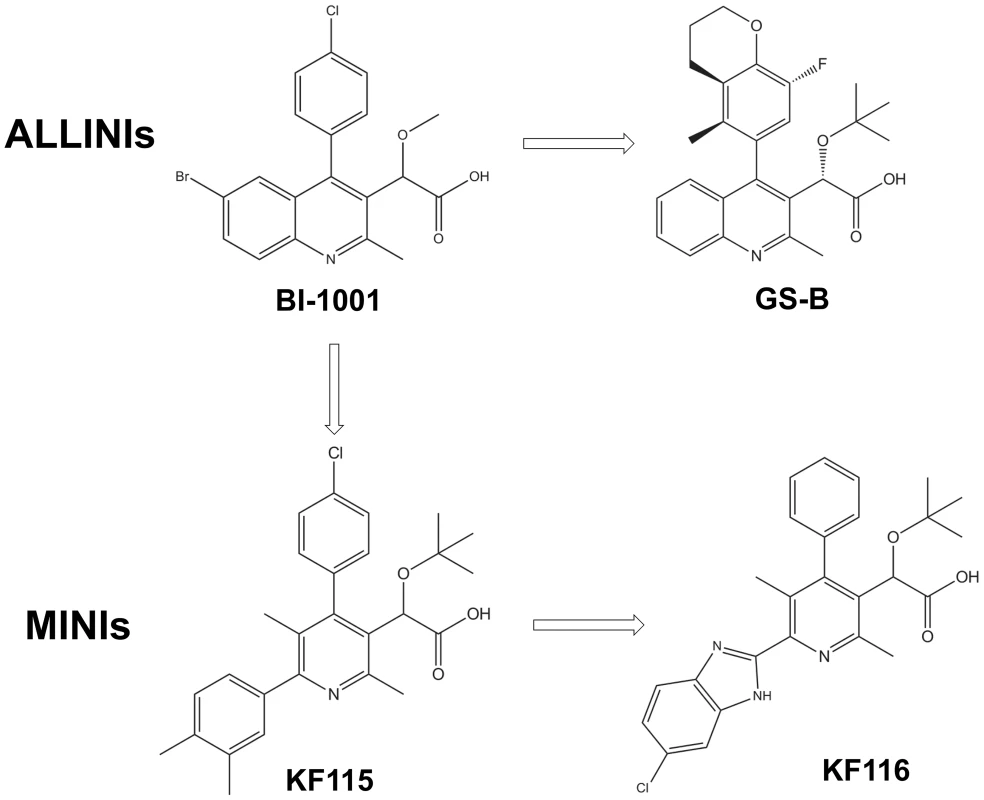 Chemical structures of ALLINIs and MINIs.