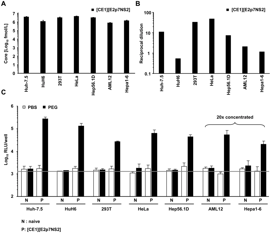 Production of infectious HCV from heterokaryons between human liver cells and human non-hepatic or mouse liver cells.