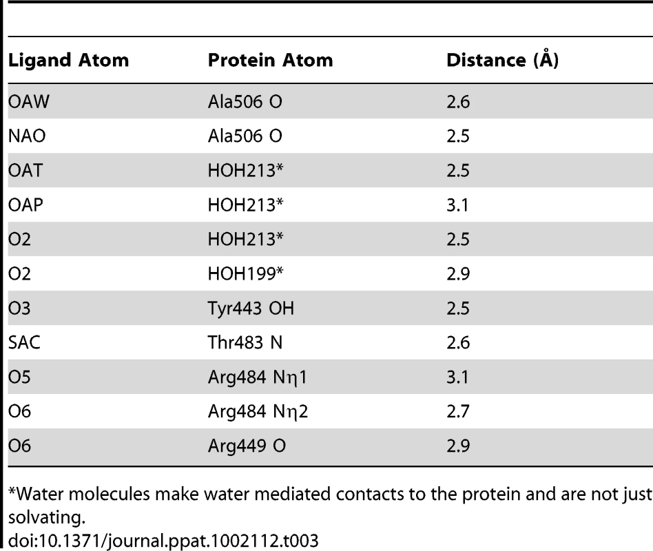 Contacts at the receptor binding site.