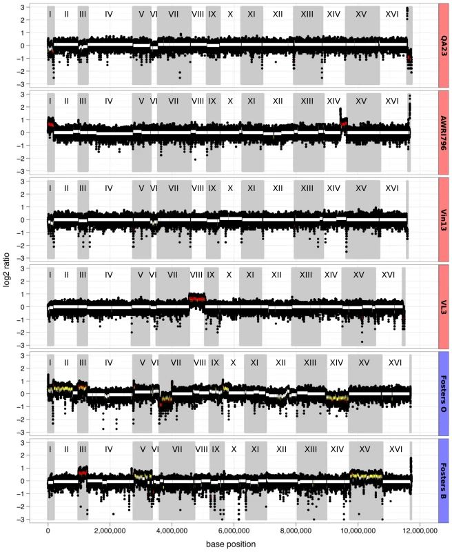 Chromosomal aneuploidy determined by whole-genome sequencing coverage.