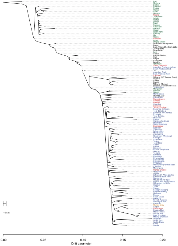 Phylogram of the inferred relationships between 134 cattle breeds.