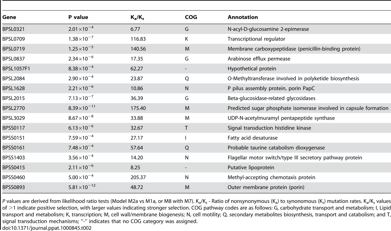 Representative Bp Genes Exhibiting Signatures of Positive Selection.