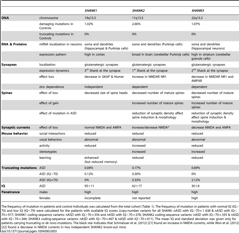 Summary of the SHANK protein functions and of the main findings obtained for patients with ASD.
