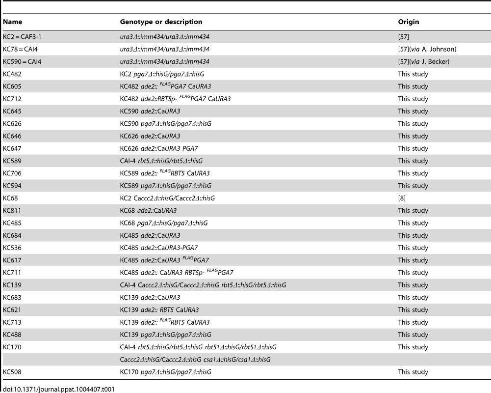 List of <i>C. albicans</i> strains.
