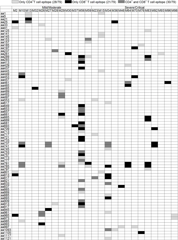 Summary of the T-cell responses to the HTNV-Gn/Gc epitopes in 25 positively responding patients.