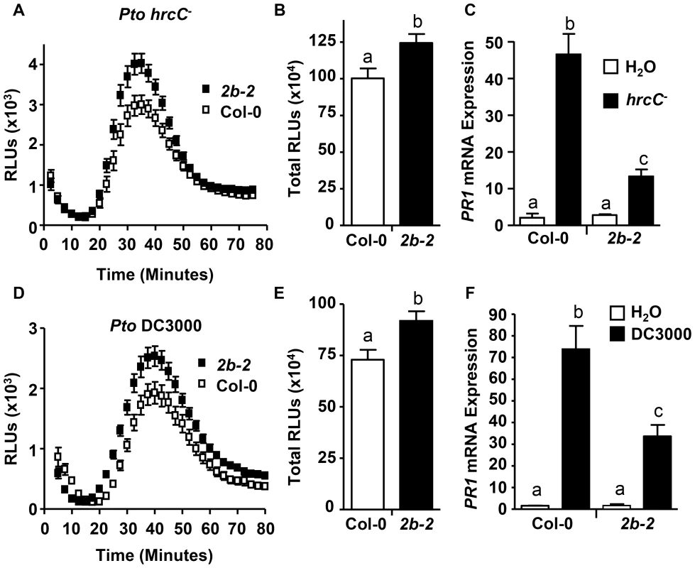 <i>drp2b</i> shows increased ROS and decreased <i>PR1</i> mRNA to living <i>Pto</i> in a T3SS-independent manner.