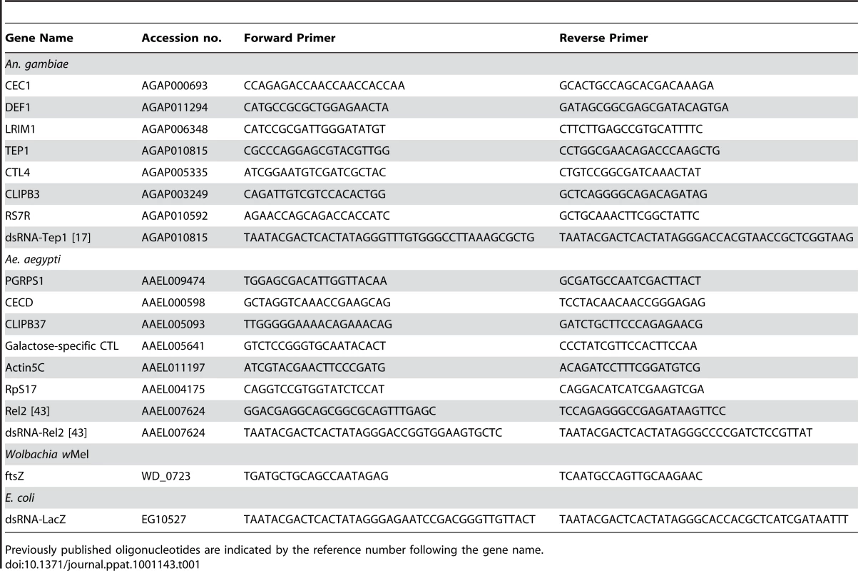 Oligonucleotide primers used in quantitative PCR experiments and dsRNA synthesis.