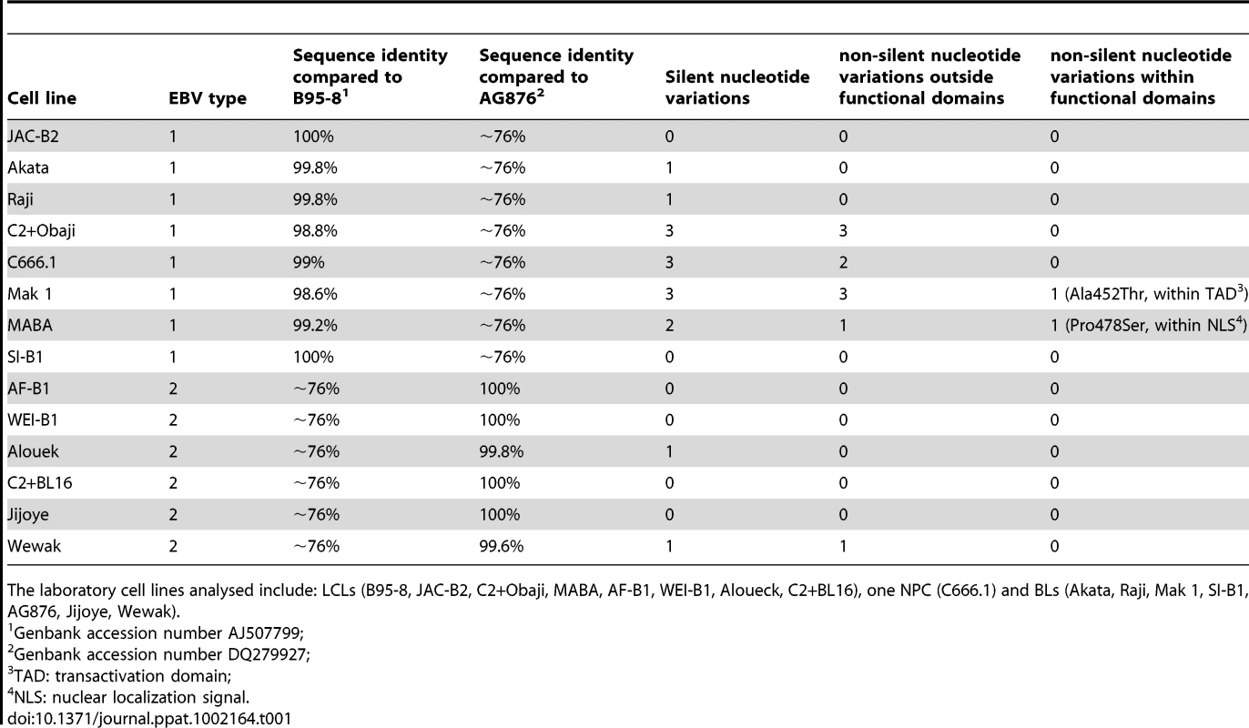 Sequence analysis of the C-terminus of EBNA-2 from type 1 and type 2 EBV isolates obtained from laboratory LCL, BL and NPC cell lines.
