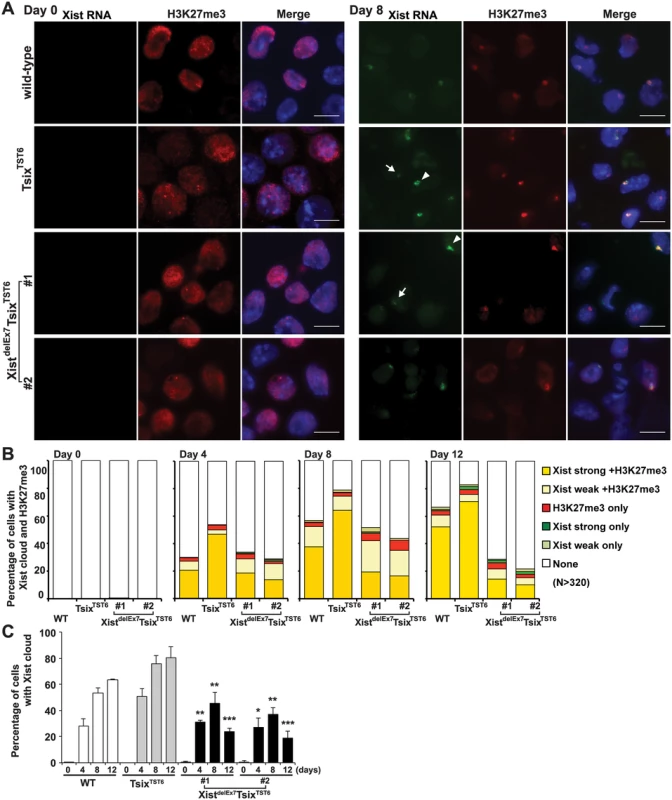 <i>Xist</i> exon 7 is required for the chromosome-wide localization of Xist RNA and H3K27me3 during X-inactivation.