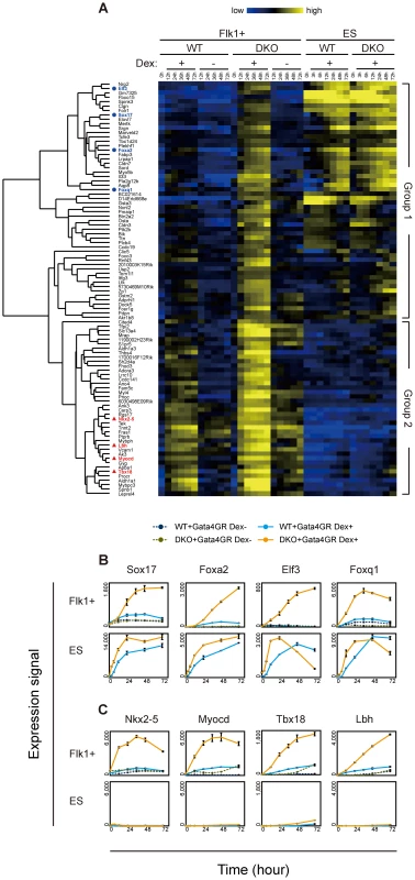Time course analysis of transcriptome changes in response to Gata4.