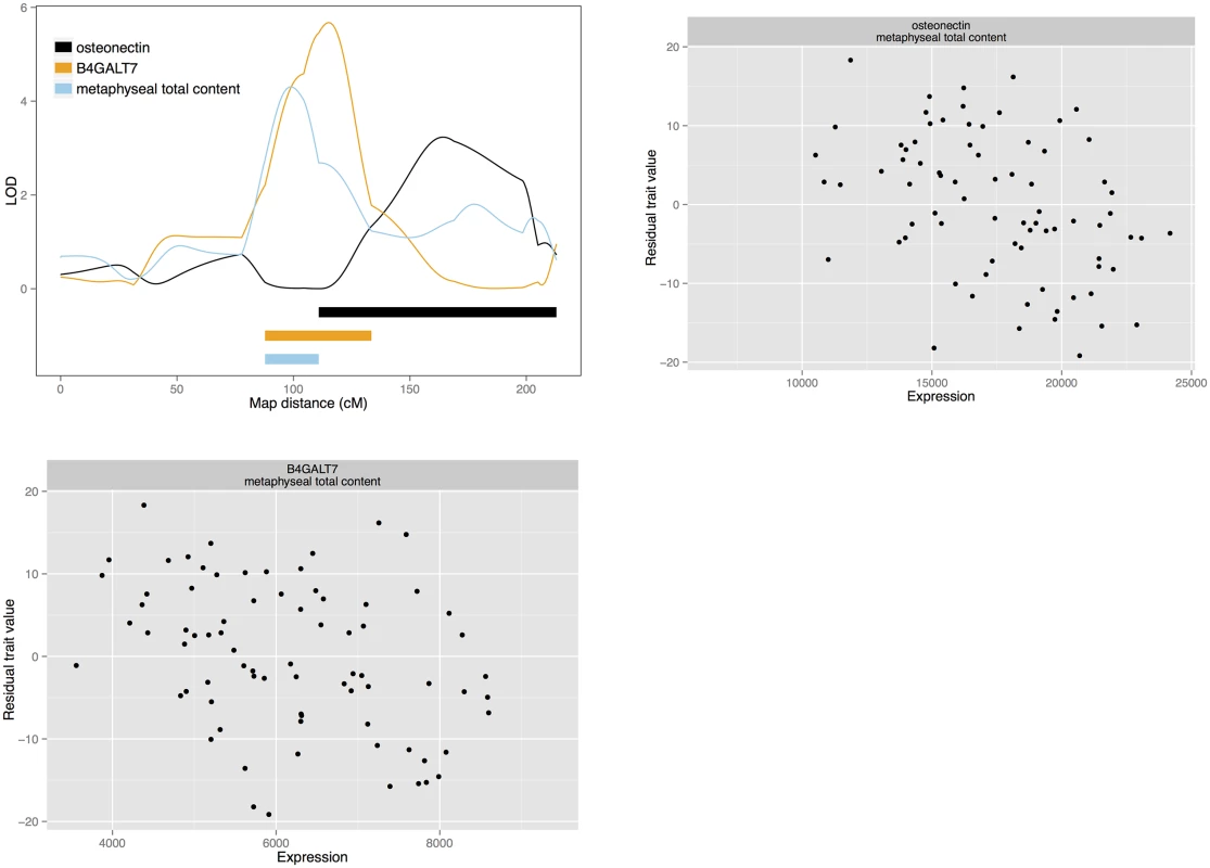 Candidate quantitative trait genes osteonectin and <i>B4GALT7</i> for total bone content: LOD curves and confidence intervals of bone QTL and associated eQTL, and scatterplots of residual phenotypes against gene expression values.