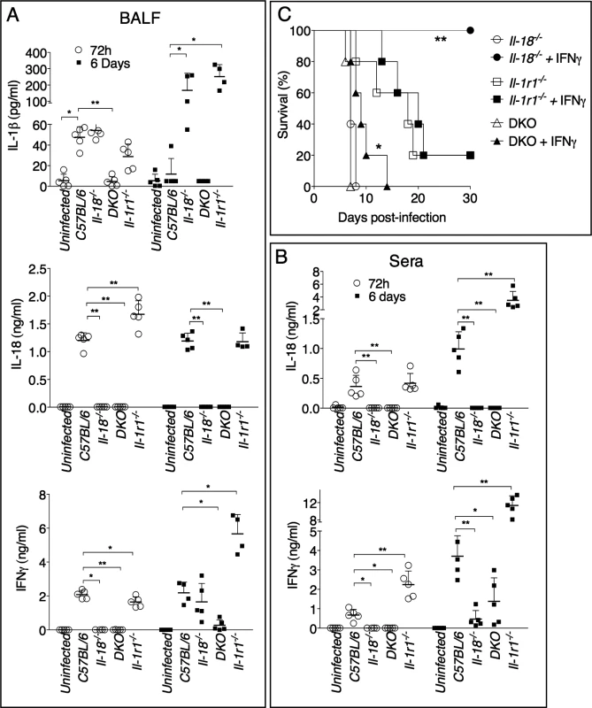 IFNγ administration rescues survival of <i>Il-18</i><sup>-/-</sup>, but not <i>Il-1r1</i><sup>-/-</sup>, mice intranasally infected with <i>Ft</i> LVS.