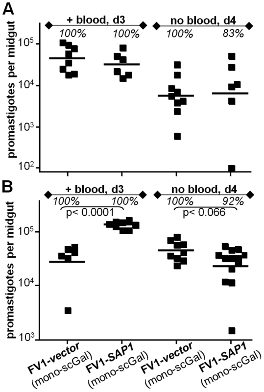 <i>L. major</i> FV1 promastigote survival in <i>Ppap</i>J infections is unaffected by over-expression of secreted acid phosphatase (SAP).