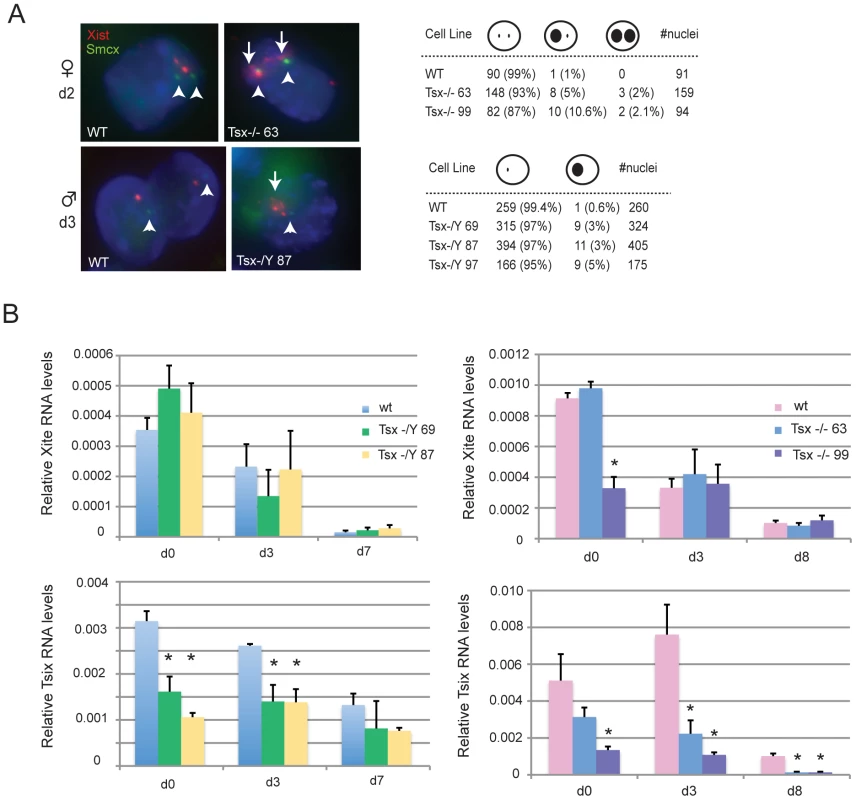 Analysis of Xist, Tsix, and Xite expression in <i>Tsx<sup>KO</sup></i> ES cells.