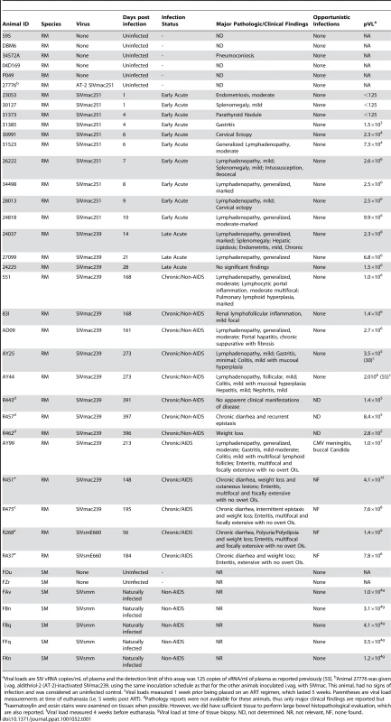 Animals used for study.