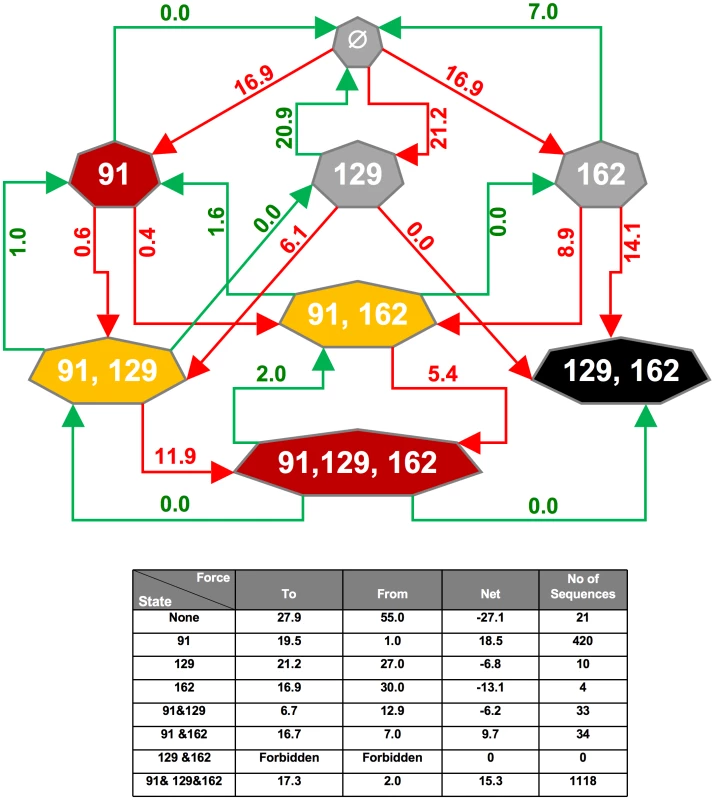 Schematic representation of the flow among the different states of the virus generated by the Flow Index.
