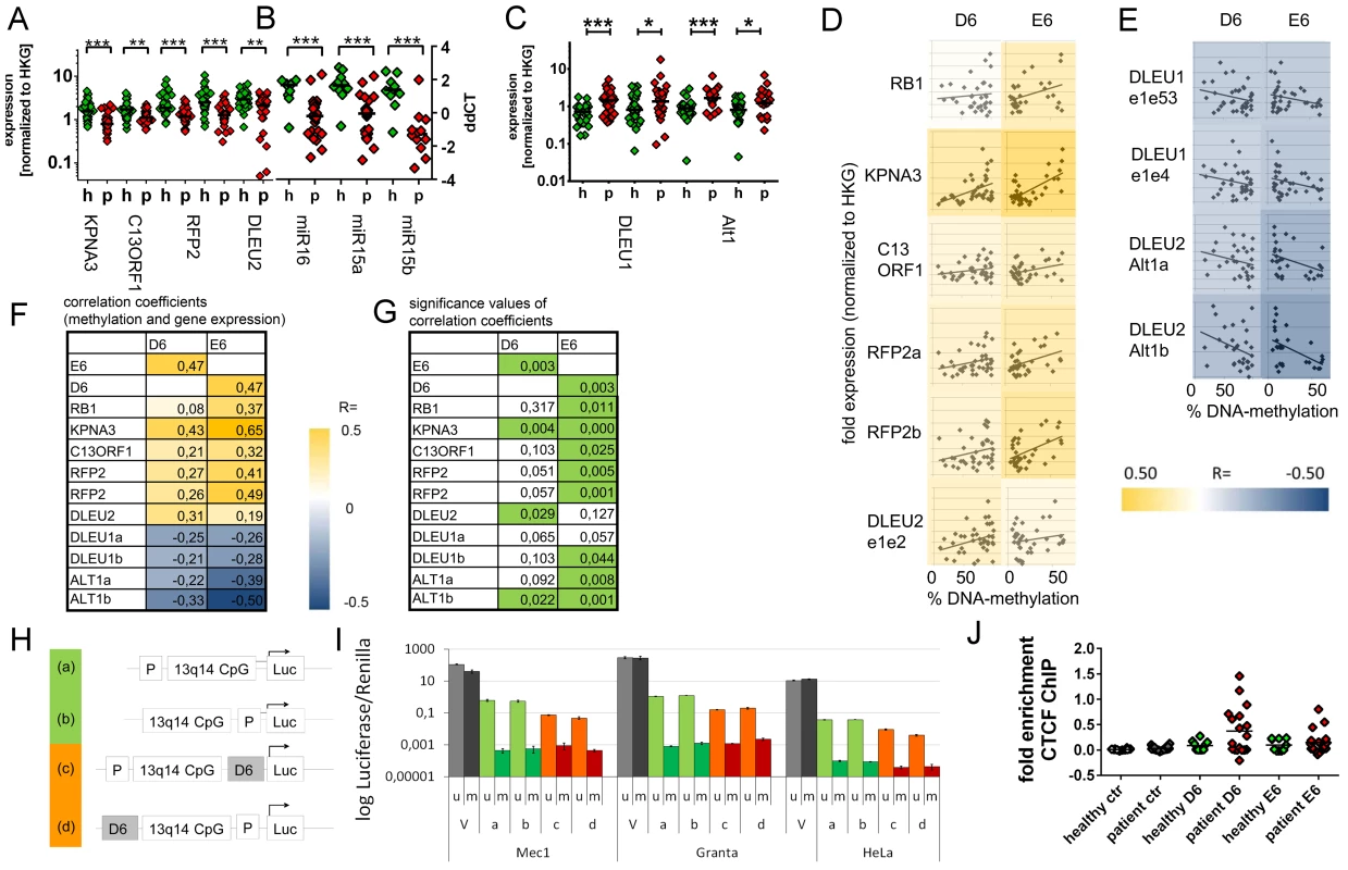 Downregulation of 13q14.3 candidate tumor suppressor genes and upregulation of lncRNA genes <i>DLEU1</i> and <i>DLEU2/Alt1</i> correlates with DNA-methylation.