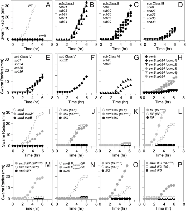 Suppressors of <i>swrB</i> (<i>sob</i>) mutants restore swarming motility in the absence of SwrB.