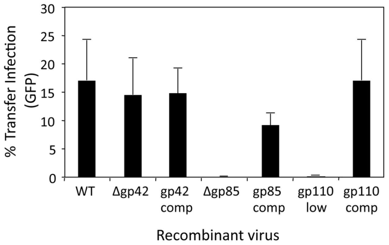 Virus requirements for basolateral surface entry.