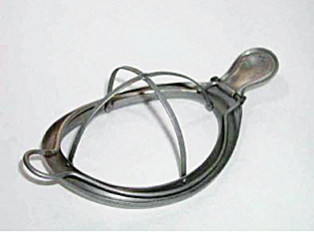 Schimmelbuschova maska